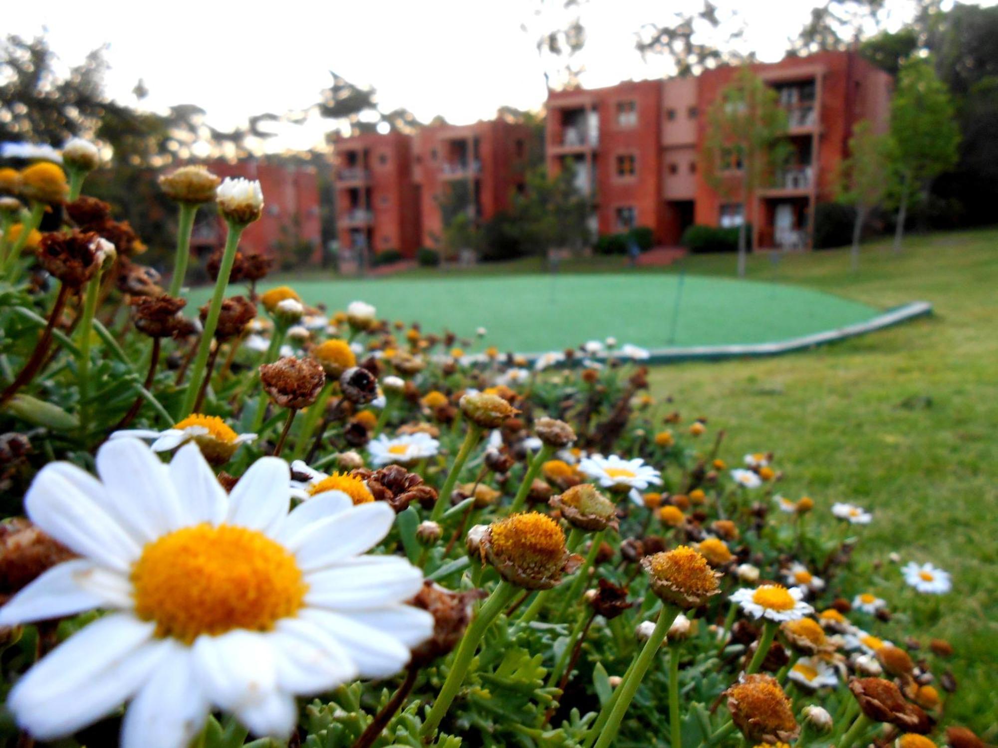 Rincon Del Este Resort Punta del Este Exterior foto